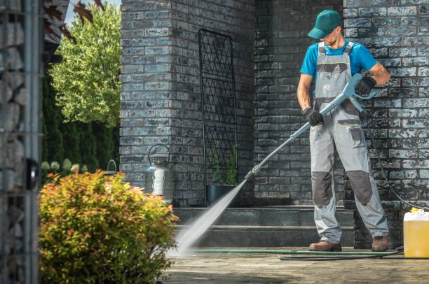 Best Pool Deck Cleaning  in St Bonifacius, MN